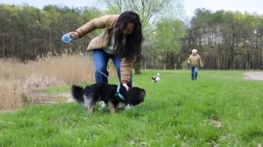 Parkta tasmalı bir köpek rakibinin köpeğini gördüğünde agresif bir şekilde havlar.