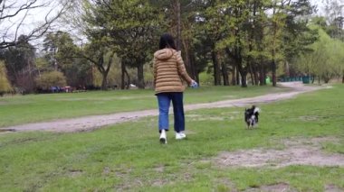 Parkta sahibinin ayaklarının arkasında yürüyen sevimli, genç bir köpek, ağır çekimde. Mutlu iki kişi çimenli sahilde yürüyor.