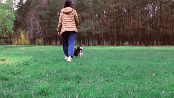 공원에 주인의 귀여운 강아지 마차의 초원을 — 비디오