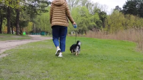 Cão Jovem Bonito Andando Atrás Dos Pés Proprietário Parque Carrinho — Vídeo de Stock