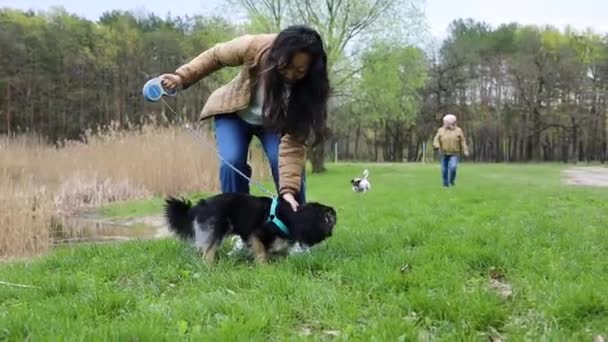 Dog Leash Park Aggressively Barks Sees Opponent Dog — Stock Video