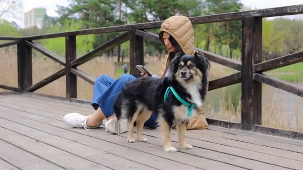 Genç Bir Asyalı Kadın Parkta Bir Köprüde Oturuyor Sevimli Köpeği — Stok video