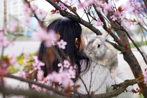 벚꽃을 피우는 정원에서 귀여운 토끼를 아름다운 이시아 — 스톡 사진