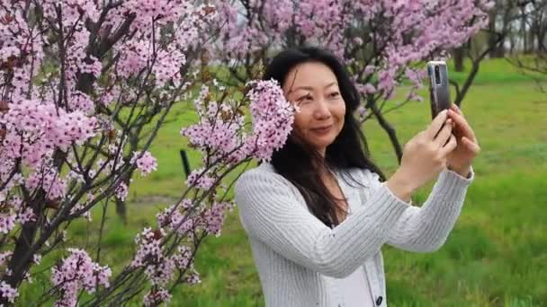 スローモーションアジアの女性がピンクの桜とセルフィー写真を撮る Tree — ストック動画