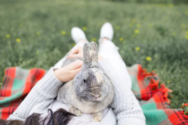 Asian Woman Holding Healthy Lovely Bunny Easter Fluffy Rabbits Green — Stock Photo, Image