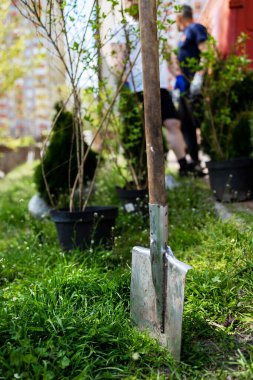 gönüllü ağaç dikiyor, kürekli eller toprağı, doğayı, çevreyi ve çevreyi kazıyor