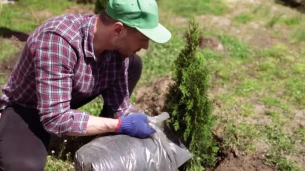 Hanträdgårdsmästare Som Använder Organisk Jord Från Plastpåsen För Plantering Naturligt — Stockvideo