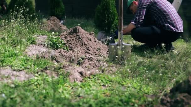 Agriculteur Plante Petits Arbres Ornementaux Dans Sol — Video
