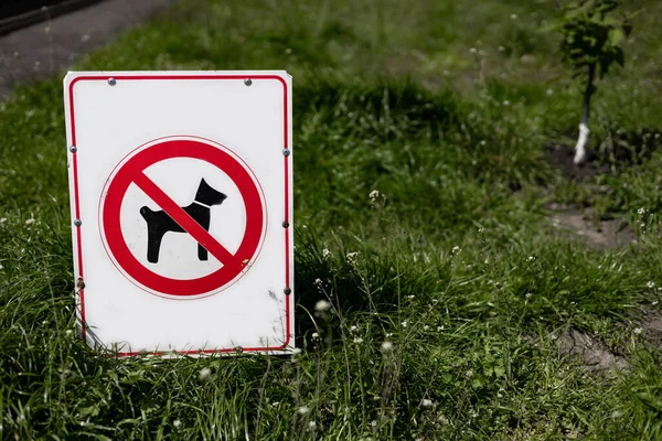 stock image No pets allowed sign in the park with green grass.