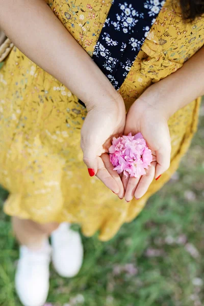 Beautiful hands of girl with pink flowers in their hands on blur background. Women\'s hands touching and enjoying beauty pink cherry blossom. Beauty sweet pink sakura flower in the female hands.