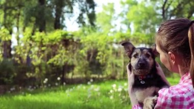 Parkta genç köpeğiyle oynayan güzel bir genç kadın. Yaşam tarzı portresi.