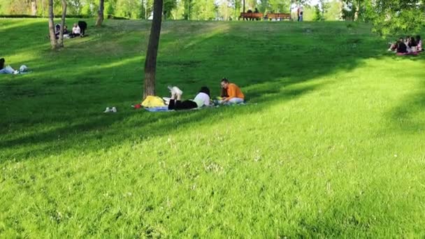 休息的时候 人们在绿色的草坪上休息 呼吸新鲜空气 春天阳光明媚的日子里野餐 与家人朋友在户外放松一下 — 图库视频影像