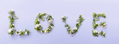Çiçeklerden yapılmış yaratıcı bir düzen. Parlak arka planda bahar çiçeği konsepti. Aşk kelimesiyle tatil doğa fikri. Sevgililer Günü 'nün Moda Tasarımı.