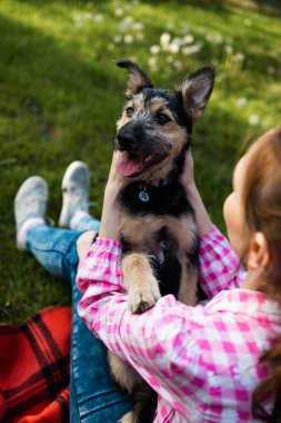 Parkta genç köpeğiyle oynayan güzel bir genç kadın. Yaşam tarzı portresi.