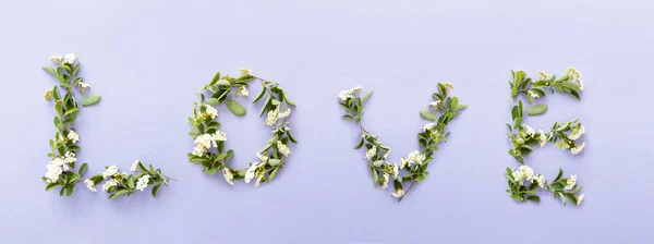 Kreatives Layout Aus Blumen Frühlingsblumen Konzept Auf Hellem Hintergrund Urlaubsidee — Stockfoto