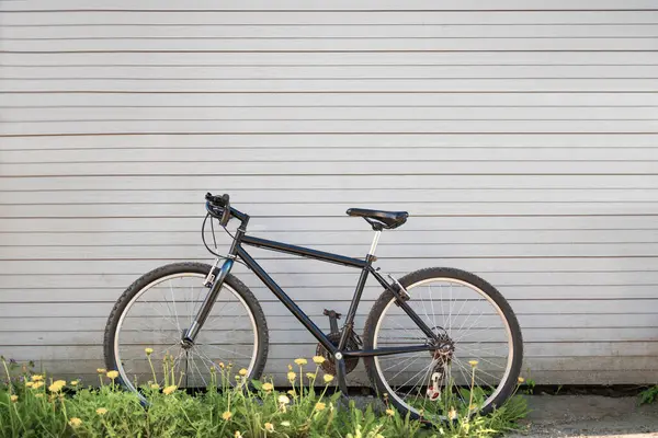 Сучасний Спортивний Гірський Велосипед Спирається Стіну Активний Спосіб Життя — стокове фото