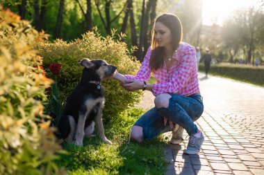 Parkta genç köpeğiyle oynayan güzel bir genç kadın. Yaşam tarzı portresi.