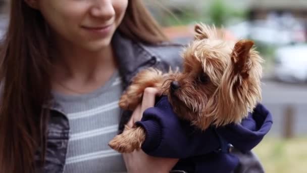 Porträt Des Glücklich Lächelnden Teenagers Der Seinen Yorkshire Terrier Freien — Stockvideo