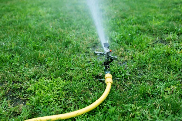 Garden watering grass. The smart garden is activated with a fully automatic sprinkler irrigation system operating in the green park, watering the lawn, flowers and trees. Sprinkler head watering.