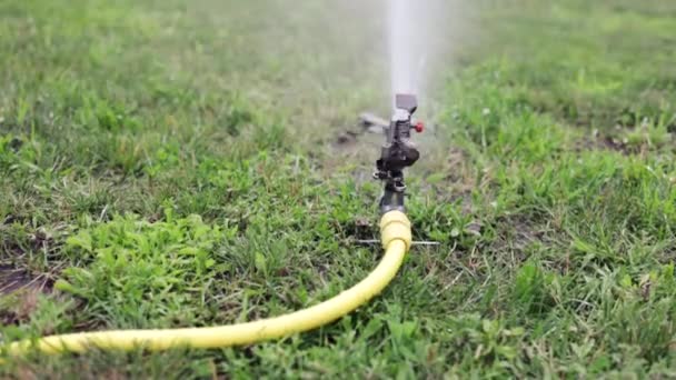 Rasenbewässerung Gartenbewässerungsregner Bewässert Rasen — Stockvideo