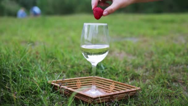 Vrouwelijke Hand Zet Aardbeien Een Glas Champagne Wijn Picknick Groen — Stockvideo