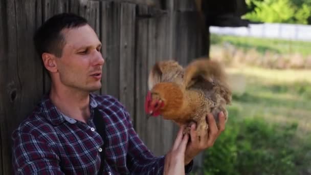 農家は鶏を抱きしめる 心地よい男がチンポを抱いている 幸せな農家のショットを閉じます — ストック動画