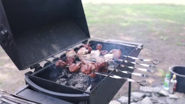 Grelhe Porco Close Alguns Espetos Carne Grelhados Churrasco Comida Grelhada — Vídeo de Stock