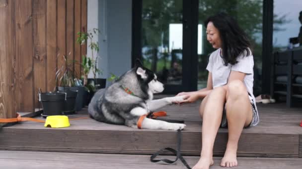 Young Owner Woman Her Dog Husky Sitting House — Stock Video
