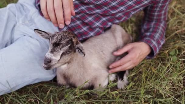 一个相貌像白人的快乐男人 一个农夫抱着他最喜欢的山羊 一只小山羊 夏天乡村的概念 接近户外文娱 — 图库视频影像