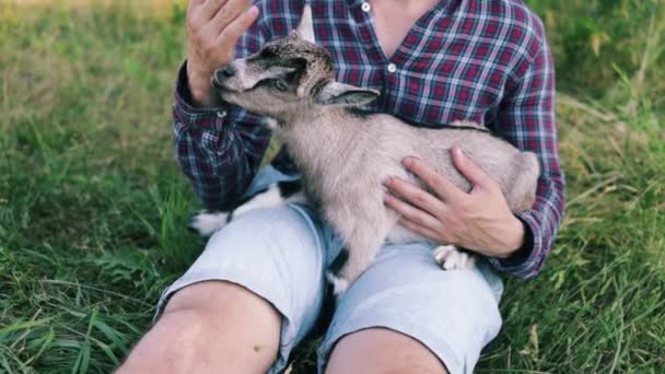 一个相貌像白人的快乐男人 一个农夫抱着他最喜欢的山羊 一只小山羊 夏天乡村的概念 接近户外文娱 — 图库视频影像