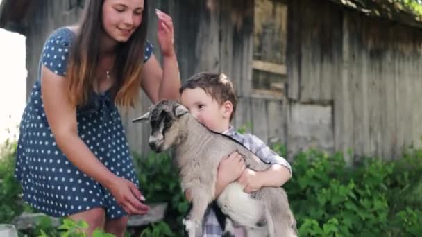Família Pasto Com Animais Mãe Bebê Tocam Pequena Cabra Prado — Vídeo de Stock