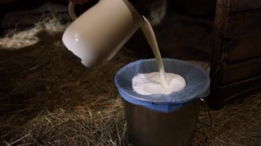 Süt çiftliğindeki bir kovaya dökülen taze inek sütünü kapatın. Süt ürünleri. Kırsal tarım. Süt daha sonra pamuktan geçirilir ve taşıma çanağına konur..