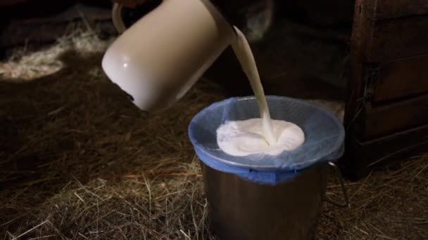 在一个奶牛场 将新鲜的牛奶倒入桶中 乳制品 农村农业 牛奶然后通过棉布被挤进一个推车里 — 图库视频影像