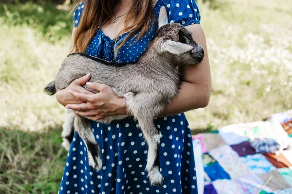 Junge Frau Mit Süßem Ziegenbaby Steht Der Nähe Der Scheune — Stockfoto