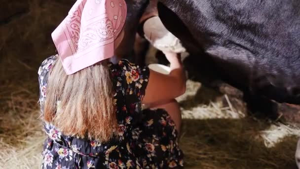 Jeune Agricultrice Laitière Professionnelle Traire Vache Dans Une Étable Fermier — Video