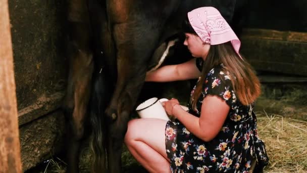 牛を牛乳で搾乳する若いプロの酪農家です 魅力的な女性農業農家は 畜産業の幸福と牛の動物農場で働くことを喜び 楽しむ — ストック動画