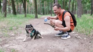 Sahibi evcil hayvan rolünde. Yaz parkında yeşil çimlerde oturan küçük köpeği..