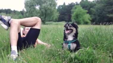 Sahibi evcil hayvan rolünde. Yaz parkında yeşil çimlerde oturan küçük köpeği..