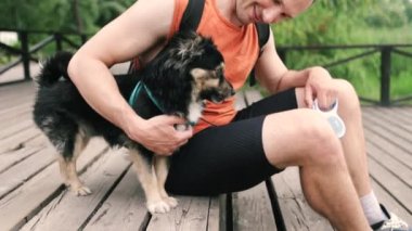 Şirin küçük köpek ve sahibi parkta birlikte oynuyorlar. Kürklü köpek okşamayı ve insanın en iyi arkadaşıyla iyi vakit geçirmeyi sever. Parktaki çimlerde eğleniyorum. Koşumlu köpek.