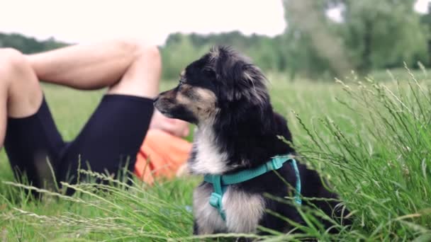 Właściciel Gra Zwierzęta Jego Mały Pies Siedzi Zielonej Trawie Parku — Wideo stockowe