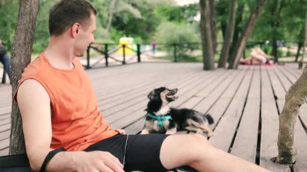Lindo Perro Pequeño Dueño Jugando Juntos Aire Libre Parque Perro — Vídeos de Stock
