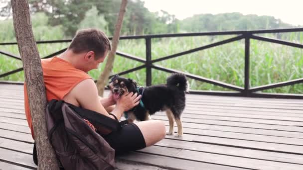 Majitel Muž Hraje Domácí Mazlíčky Jeho Malý Pes Sedí Zelené — Stock video