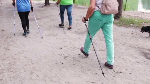 老年老年老年妇女的腿在夏季公园练习北欧式的散步 老年时健康的生活方式 — 图库视频影像