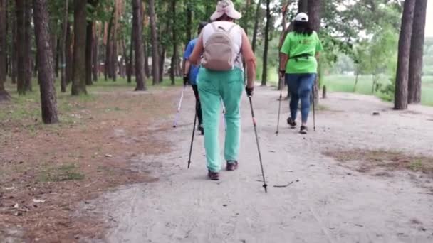 Ноги Старших Жінок Практикують Скандинавську Ходьбу Літньому Парку Здоровий Спосіб — стокове відео