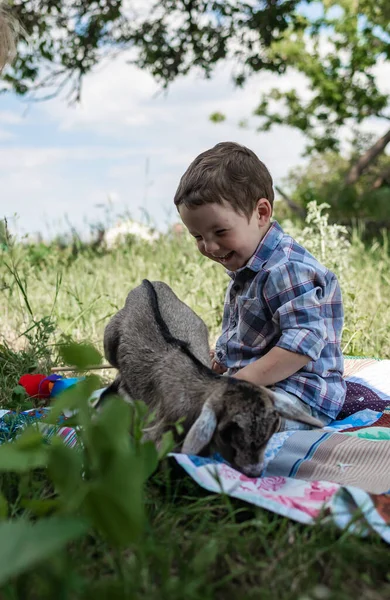 Niño Pequeño Sentado Con Cabra Bebé Campo Cerca Tierras Cultivo —  Fotos de Stock