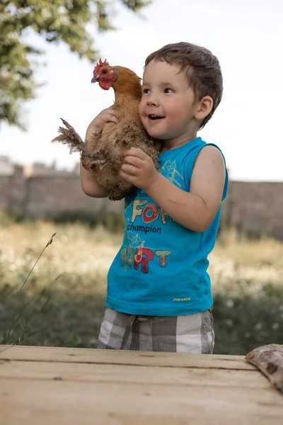 stock image A kid hugs a chicken. pleasant boy is hugging a cock in village. 