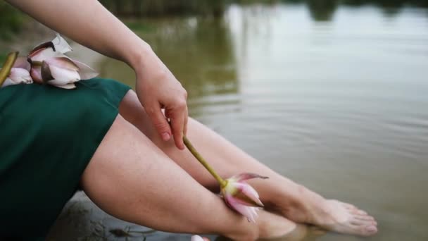 Mulher Mãos Segurando Bela Flor Lótus Tocando Suas Pernas Perto — Vídeo de Stock