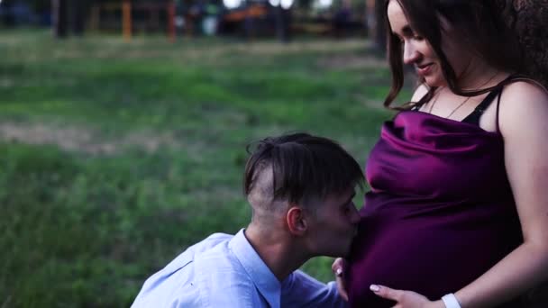 Hombre Cariñoso Besando Esposa Embarazada Campo Atardecer — Vídeos de Stock