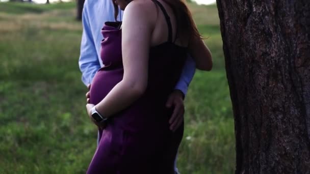 在夏日 一对年轻的怀孕夫妇靠着一棵大树 一对年轻的怀孕夫妇在外面共度时光 — 图库视频影像