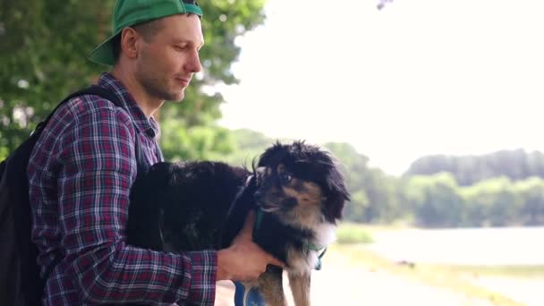 かわいい小さな犬と飼い主が公園の屋外で遊んでいました フリードッグは男の親友とのパッティングと楽しい時間を楽しんでいます ハーネスを持った犬 — ストック動画
